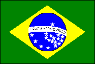 Brazilian Flag